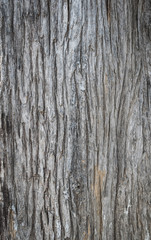 Wood texture for background copy space.