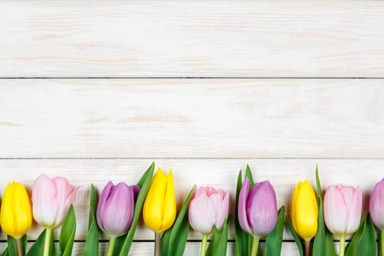 Line of pink and yellow tulips lying on a white wooden background
