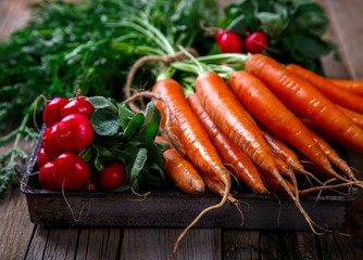 Bunch of fresh carrots with green leaves and a bunch of radishes over wooden background. Vegetable.Food or Healthy diet concept.Vegetarian. selective focus.