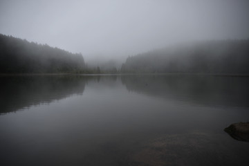 Mysterious dark lake in the morning mist