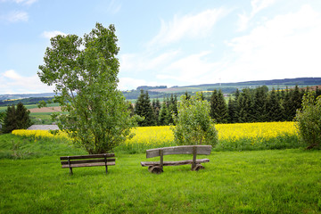 hügelige Landschaft mit Rapsfeldern, Rastplatz im Saarland