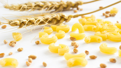 Pasta in the form of tubes. Twigs of wheat and wheat grain. White background