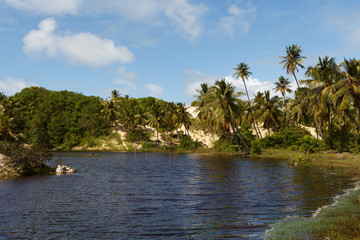 Mangue Seco, Jandaíra, Bahia, Brazil