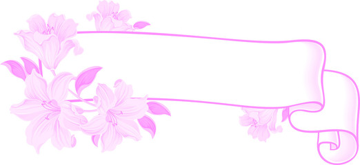Fototapeta na wymiar Vintage ribbon. Banner with lily flower. Retro style. Wedding element. Spring vector illustration.