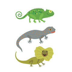 Different kind of lizards icons set.