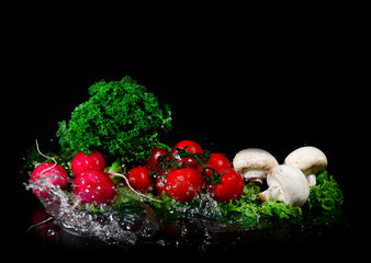 Still life with fresh vegetables, mushrooms and cabbage leaves with drops of water on a black background.