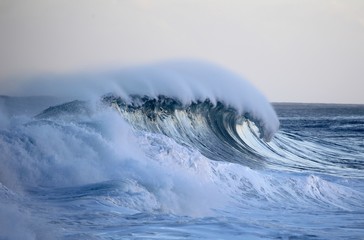 Hawaiian Winter Wave