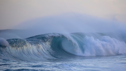 Hawaiian Winter Wave