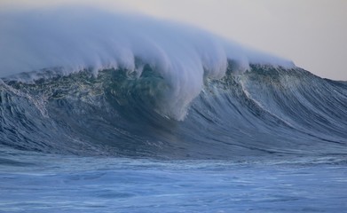 Hawaiian Winter Wave