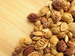 A mixture of dry stones of apricot, peach, plum, nectarine