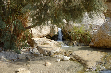 Fototapeta premium Waterfall in the rocks of Ein Gedi Dead Sea