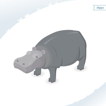 Hippo isolated on white background. Isometric view. Flat vector illustration.
