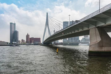 Papier Peint photo Pont Érasme Le pont Erasmusbrug également connu sous le nom de pont des cygnes à Rotterdam