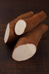 Manihot esculenta (cassava, yuca, manioc, mandioca, Brazilian arrowroot)