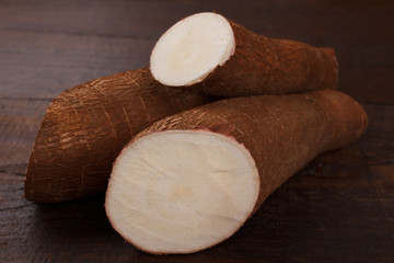 Manihot esculenta (cassava, yuca, manioc, mandioca, Brazilian arrowroot)