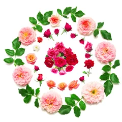 Behang Wreath with leaves and flowers of pink roses isolated on white background © Flower Studio
