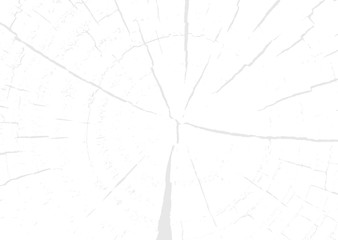 Wooden wall. Wood texture. Fiber and crack