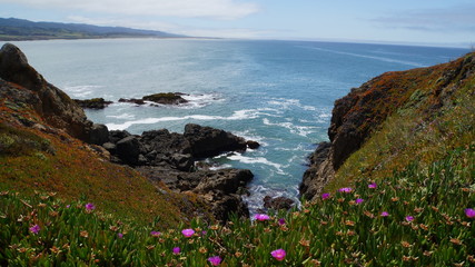 Beautiful Pacific Ocean