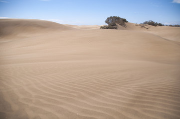 ARENA DE PLAYA DUNAS