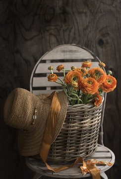 Still life of orange colour peony roses, hat and chair 