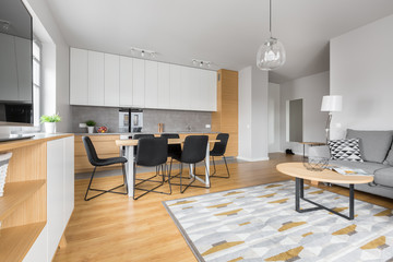 Modern designed dining room