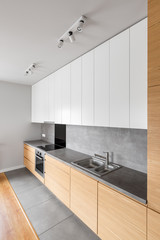 Contemporary kitchen interior