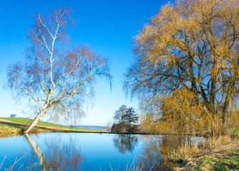 Fototapeta na wymiar kleiner See mit Bäumen