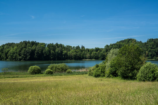 lake in green
