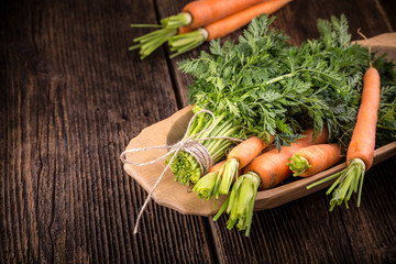 Fresh young bunch of carrots and leaves
