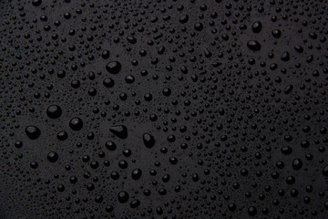 Drops of water on a black background.
