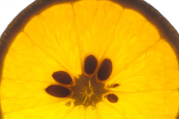 orange enlightened with the light seed in the center
