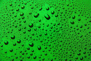 Plakat Drops of water on a color background. green