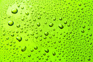 Drops of water on a color background. Green