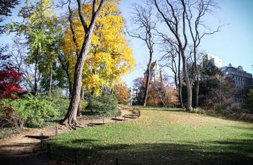 Path way in New York Central Park