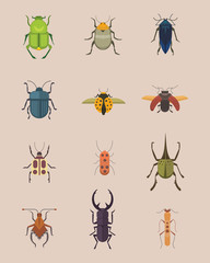 Set of insects flat style vector design icons. Collection nature beetle and zoology cartoon illustration. Bug icon wildlife concept