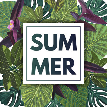 Summer green tropical flyer design with palm tree leaves and purple flowers.