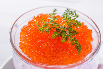 Red caviar in glass jar with herbs close up. Healthy diet sea food