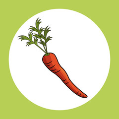 carrot healthy fresh image vector illustration eps 10