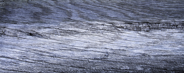 Old rich wood grain texture background with knots