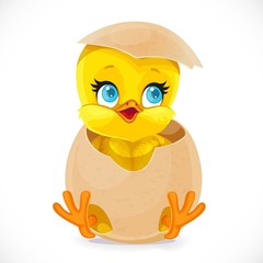 Cute little cartoon chick hatched from an egg isolated on a white background