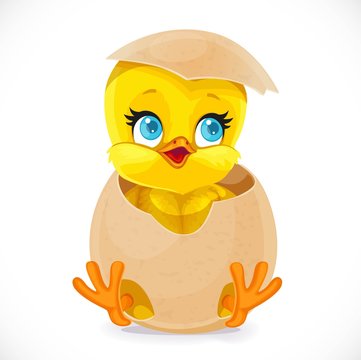 Cute little cartoon chick hatched from an egg isolated on a white  background Stock Vector | Adobe Stock