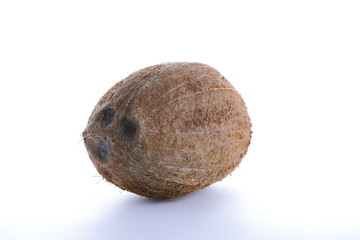 Coconut on a white background