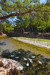 Old town Olympos in Turkey