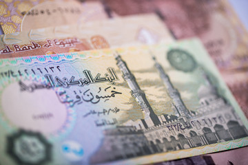 Naklejka premium Egypt 50 Piastres Banknote Details..