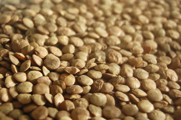 Lentils background