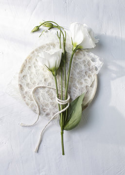 White flower against white background