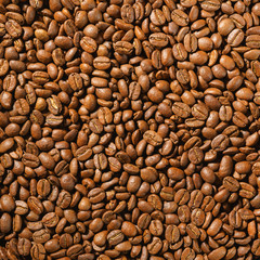 Roasted coffee beans, arabica 