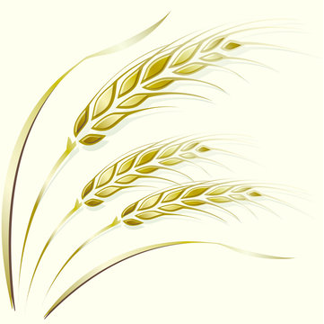 Wheat ears frame, border or corner element.