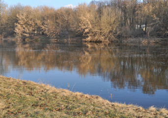 Spring landscape near the river