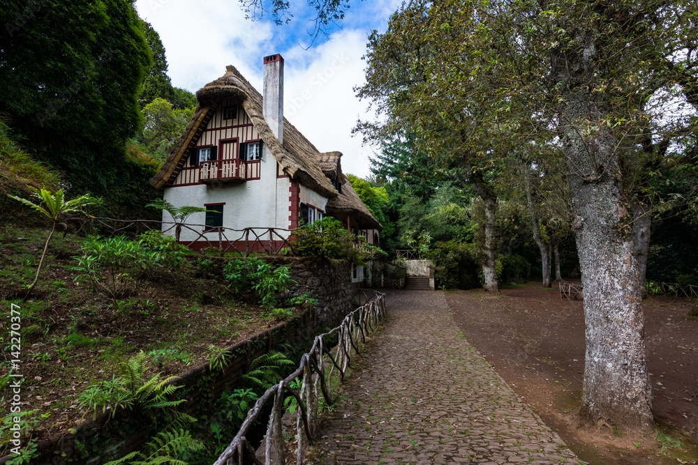 Wall mural traditional madeira house